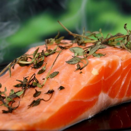 salmon, cooked, food-1238248 salmon, cooked, food